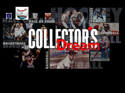 Разработка сайта спортивной фирмы Collectors Dream