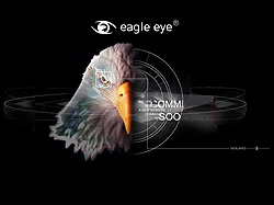 Разработка сайта Eagle Eye history Incorporated