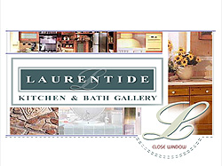 Создание сайта фирмы Laurentide